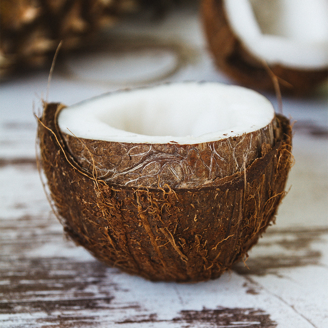 coconut oil benifits for hair growth 